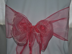 Organza Chair Sash